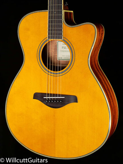 Классический топ из сассафраса Taylor T5z (175) T5z , Sassafras Top (175)