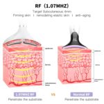 ANLAN SD-8811 Электрическое устройство для красоты шеи Dolphin RF